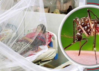 ডেঙ্গুতে আরও ৩ জনের মৃত্যু, মোট আক্রান্তের সংখ্যা পেরিয়েছে ৫০ হাজার