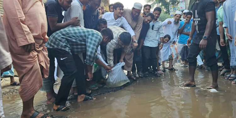 সড়কের গর্তে মাছের পোনা ছেড়ে অভিনব প্রতিবাদ করলেন হাসনাত