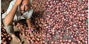 ঢাকায় বসে ভারতের ব্যবসায়ীদের কাঁদাচ্ছে ড. ইউনুস