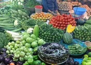 সরবরাহ বাড়লেও দাম সহনীয় নয় শীতকালীন সবজির